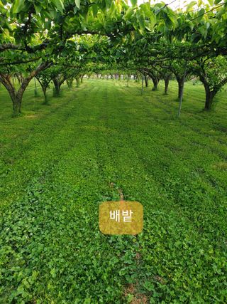 퍼피과수원님의 💚우리 동네 자랑하기 · 참여글 작성글 사진