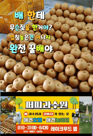 퍼피과수원님의 💚우리 동네 자랑하기 · 참여글 작성글 사진