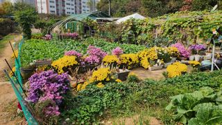 김우영님의 💚우리 동네 자랑하기 · 참여글 작성글 사진