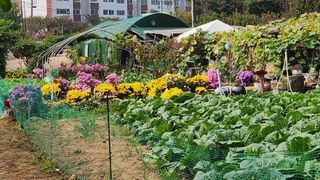김우영님의 💚우리 동네 자랑하기 · 참여글 작성글 사진