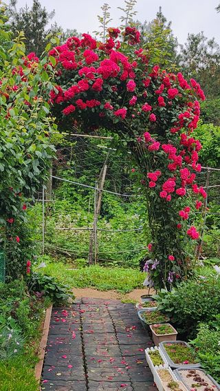 김우영님의 💚우리 동네 자랑하기 · 참여글 작성글 사진