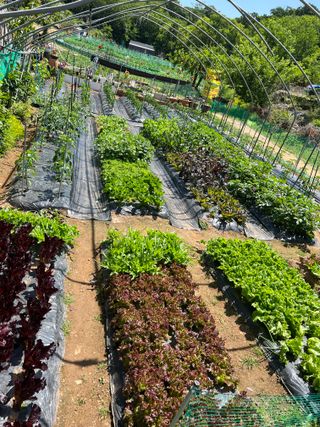 김우영님의 💚우리 동네 자랑하기 · 참여글 작성글 사진