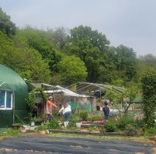김우영님의 💚우리 동네 자랑하기 · 참여글 작성글 사진