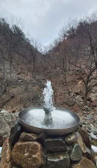 김복자님의 💚우리 동네 자랑하기 · 참여글 작성글 사진