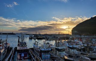 김희영님의 💚우리 동네 자랑하기 · 참여글 작성글 사진