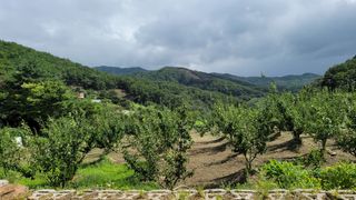 푸룬님의 💚우리 동네 자랑하기 · 참여글 작성글 사진