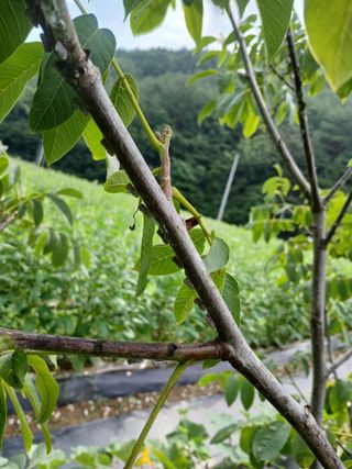 김희중님의 💚우리 동네 자랑하기 · 참여글 작성글 사진