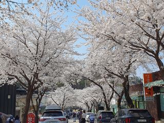 박경수님의 💚우리 동네 자랑하기 · 참여글 작성글 사진