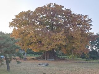 최석봉님의 💚우리 동네 자랑하기 · 참여글 작성글 사진