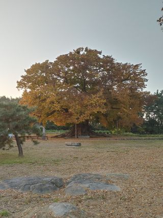 최석봉님의 💚우리 동네 자랑하기 · 참여글 작성글 사진