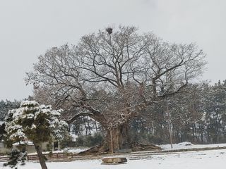 최석봉님의 💚우리 동네 자랑하기 · 참여글 작성글 사진