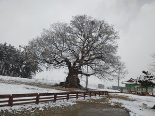 최석봉님의 💚우리 동네 자랑하기 · 참여글 작성글 사진