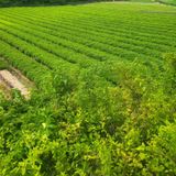 팜모닝 💚우리 동네 자랑하기·참여글 게시글 이미지