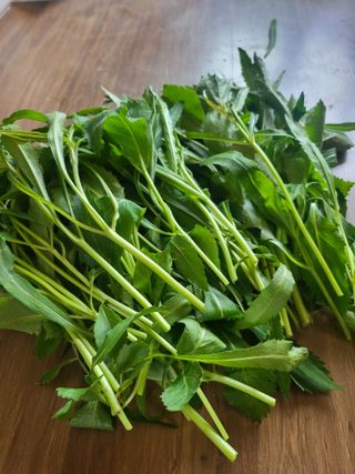 노지잔대재배7년차님의 💚우리 동네 자랑하기 · 참여글 작성글 사진