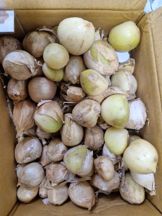 낙엽교목류21691님의 자유주제 · 자유게시판 작성글 사진