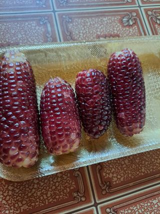 좋은인연원님의 자유주제 · 자유게시판 작성글 사진