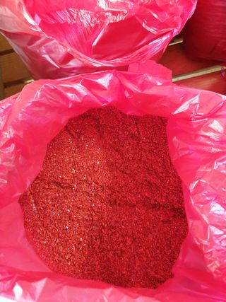 샤이니바다님의 고추 · 영농일지 작성글 사진