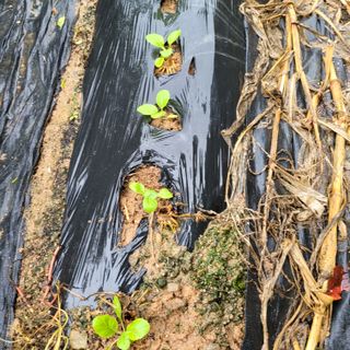 서녕영더기님의 자유주제 · 자유게시판 작성글 사진