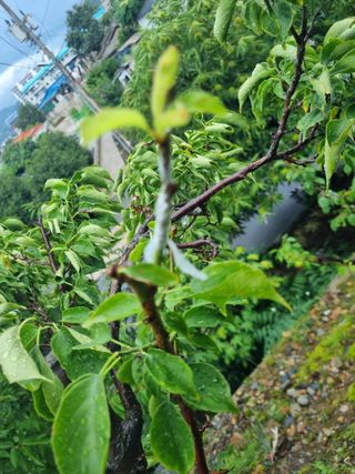 김용대님의 자유주제 · 자유게시판 작성글 사진