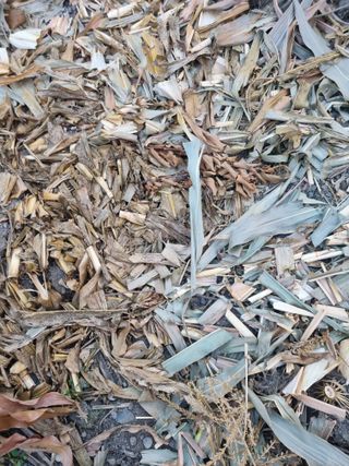 김용대님의 자유주제 · 자유게시판 작성글 사진