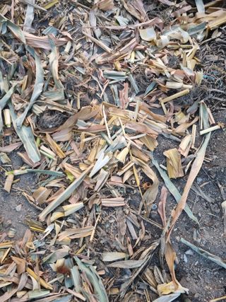 김용대님의 자유주제 · 자유게시판 작성글 사진