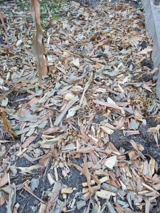 김용대님의 자유주제 · 자유게시판 작성글 사진