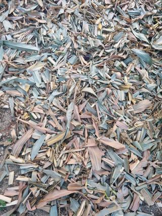 김용대님의 자유주제 · 자유게시판 작성글 사진