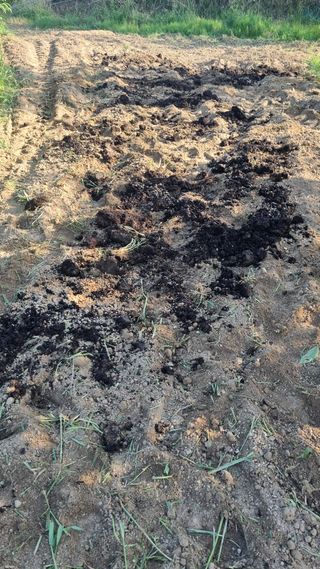 이천용님의 복숭아 · 영농일지 작성글 사진