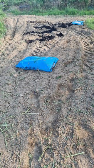 이천용님의 복숭아 · 영농일지 작성글 사진