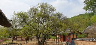 황의태님의 💚우리 동네 자랑하기 · 참여글 작성글 사진