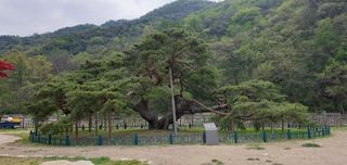 황의태님의 💚우리 동네 자랑하기 · 참여글 작성글 사진