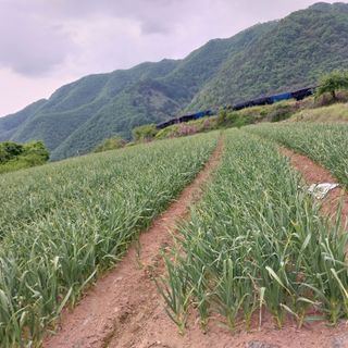 이인자님의 💚우리 동네 자랑하기 · 참여글 작성글 사진