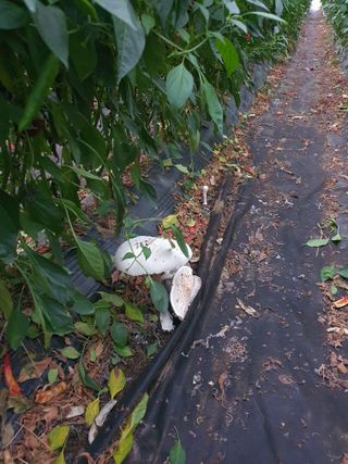 이상협님의 자유주제 · 사진전 작성글 사진