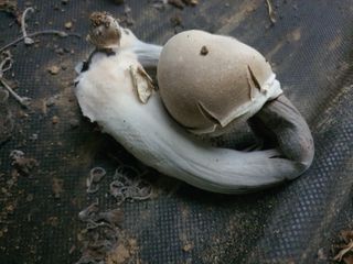 이상협님의 자유주제 · 사진전 작성글 사진