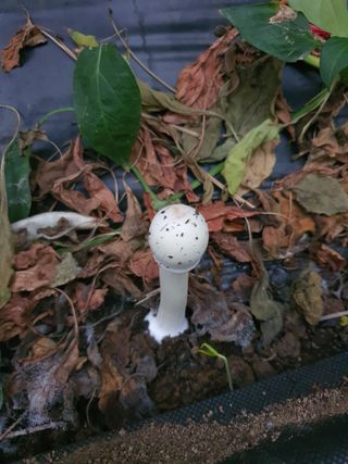 이상협님의 자유주제 · 사진전 작성글 사진