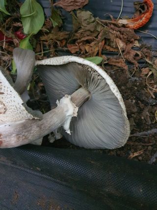 이상협님의 자유주제 · 사진전 작성글 사진