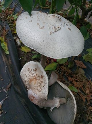 이상협님의 자유주제 · 사진전 작성글 사진