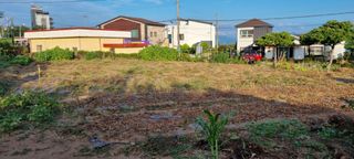 김안재님의 옥수수 · 영농일지 작성글 사진