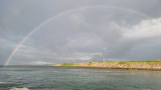 김현중 님의 팜모닝 · 출석 작성글 사진