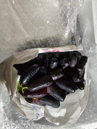 배성은365님의 자유주제 · 자유게시판 작성글 사진