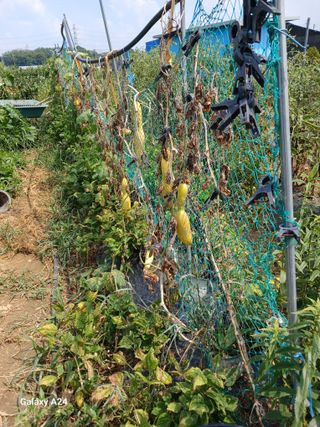 강성흔목사 님의 자유주제 · 자유게시판 작성글 사진