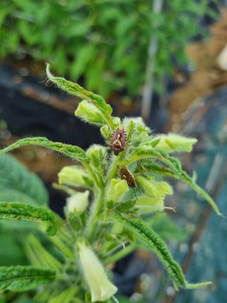 장례지도사1급님의 자유주제 · 자유게시판 작성글 사진