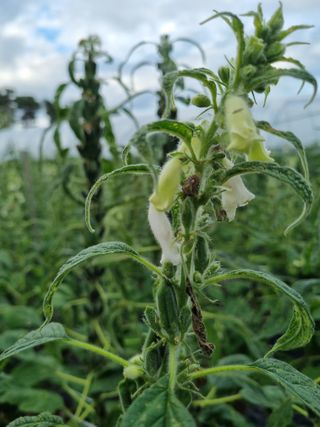 장례지도사1급님의 자유주제 · 자유게시판 작성글 사진