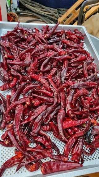 순이님의 자유주제 · 자유게시판 작성글 사진