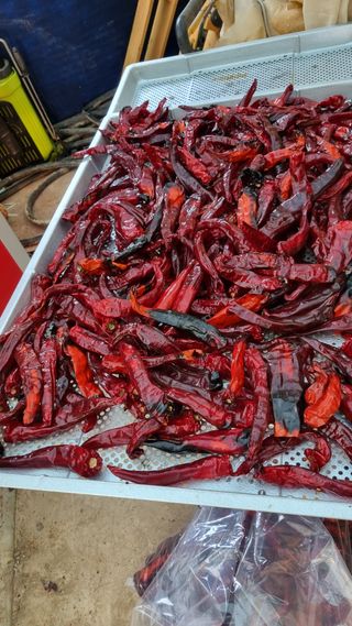 순이님의 자유주제 · 자유게시판 작성글 사진