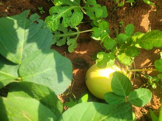 이원우님의 자유주제 · 자유게시판 작성글 사진