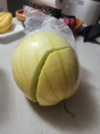 이원우님의 자유주제 · 자유게시판 작성글 사진