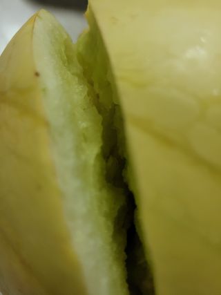 이원우님의 자유주제 · 자유게시판 작성글 사진