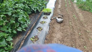 이서구님의 자유주제 · 자유게시판 작성글 사진