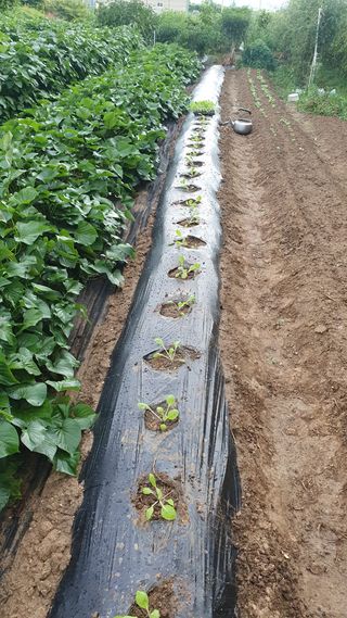 이서구님의 자유주제 · 자유게시판 작성글 사진